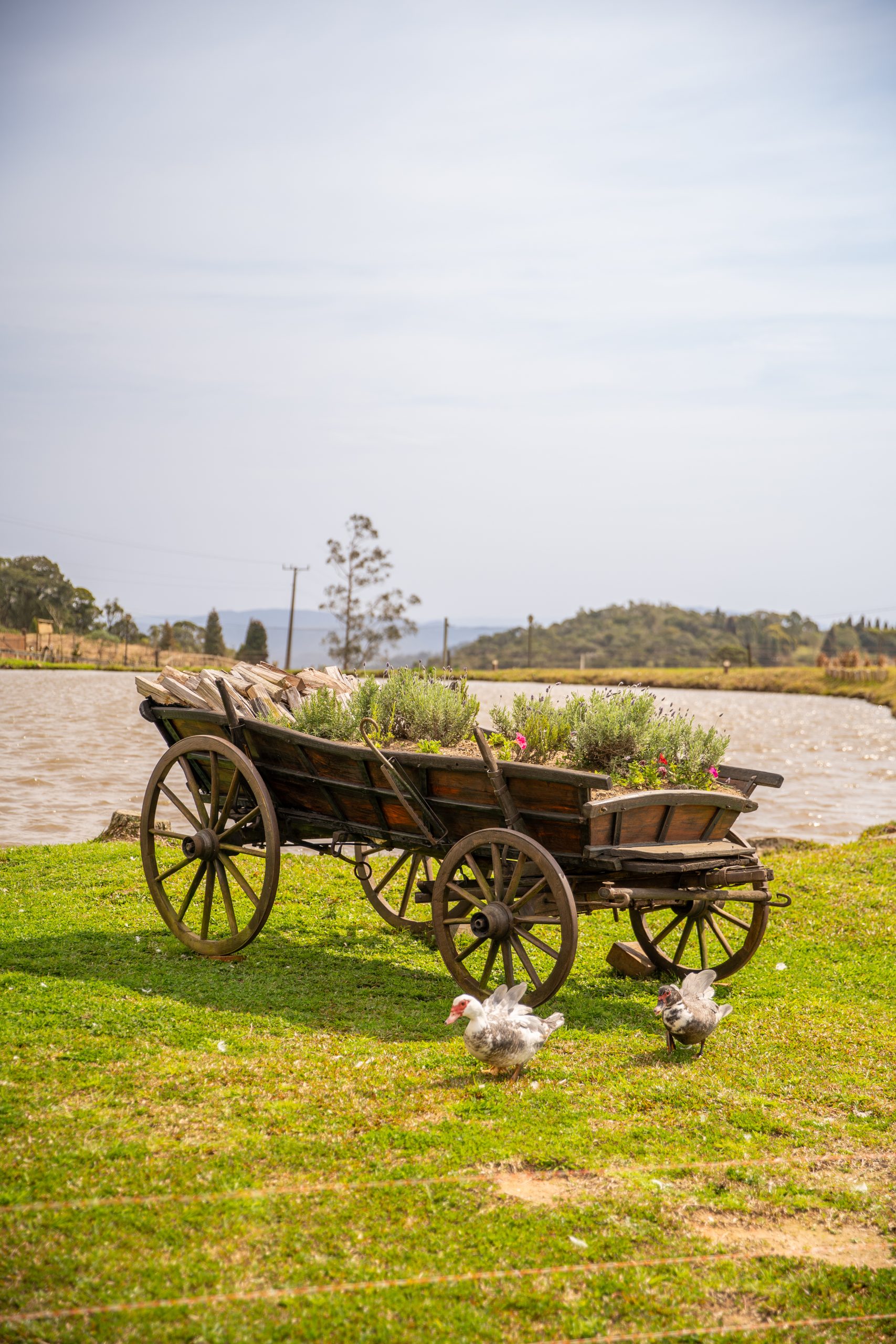 Explore além da cabana — Lago